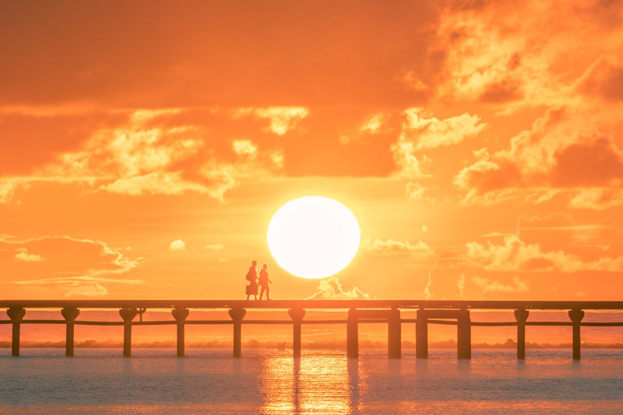 내일은 내일의 태양이 뜰 것이다. 내일은 내일의 태양이 뜰 것이다.
